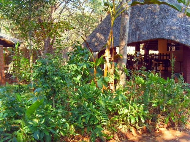 شلالات فيكتوريا Mosi-Ua-Tunya Lodge المظهر الخارجي الصورة